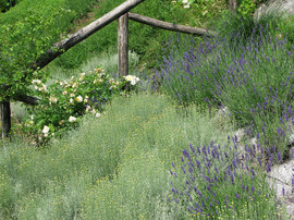 Ingegneria e natura 10